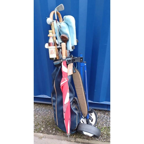 6149 - GOLF BAG WITH CADDY & CONTENTS OF VARIOUS GOLF CLUBS AND WALKING STICK WITH BOTTLE 'SCHARLACHBERG ME... 