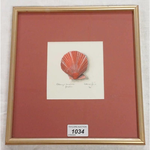 1034 - FRAMED WATERCOLOUR OF A RED CLAM SHELL, INDISTINCTLY SIGNED & DATED 2006, 11 X 11 CM