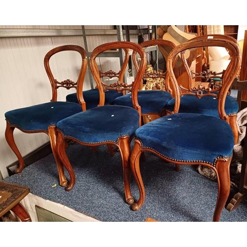 122 - SET OF 6 MAHOGANY FRAMED BALLOON BACK DINING CHAIRS ON CABRIOLE SUPPORTS