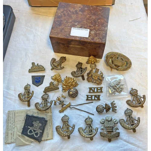 1358 - SELECTION OF CAP BADGES TO INCLUDE DLI, WALES, THE WELCH, ETC IN A WOODEN BOX