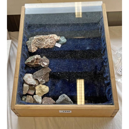 1446 - DISPLAY CASE WITH GLASS PANEL & A SELECTION OF MINERAL SAMPLES, 38CM LONG, 33CM WIDE