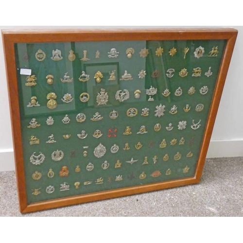 1543 - BRITISH ARMY CAP BADGES IN A LARGE GLAZED WALL CASE, BADGES INCLUDE CAVALRY, INFANTRY, SCOTTISH REGI... 