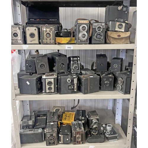 1662 - SELECTION OF CAMERAS, ETC TO INCLUDE VARIOUS BOX CAMERAS, HALINA AI, AGFA PD16 CLIPPER, FULVUEFLEX, ... 