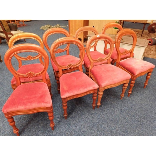 5497 - SET OF 8  19TH CENTURY MAHOGANY ROUND BACK DINING CHAIRS ON TURNED SUPPORTS