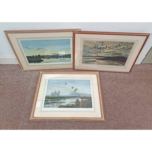 1145 - 3 FRAMED PETER SCOTT PRINTS OF BIRDS, ALL SIGNED IN PENCIL, LARGEST 39 X 56 CM