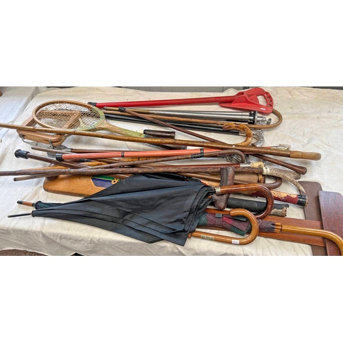 1286 - SELECTION OF VARIOUS STICKS, UMBRELLAS, TRIPOD ETC