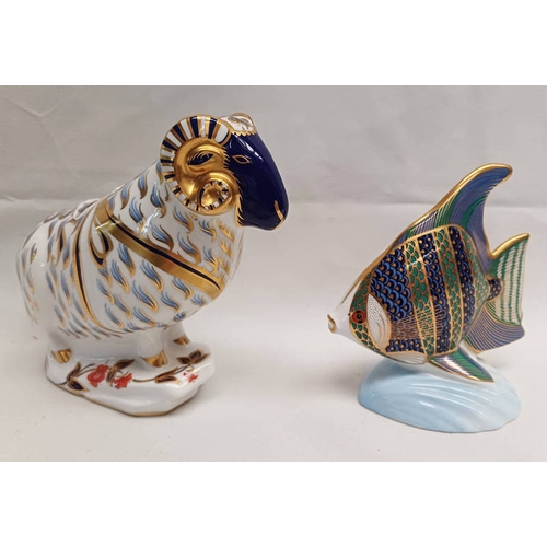 3007 - 2 ROYAL CROWN DERBY PAPERWEIGHTS ; ANGEL FISH WITH SILVER STOPPER & RAM WITH SILVER STOPPER - 2ND