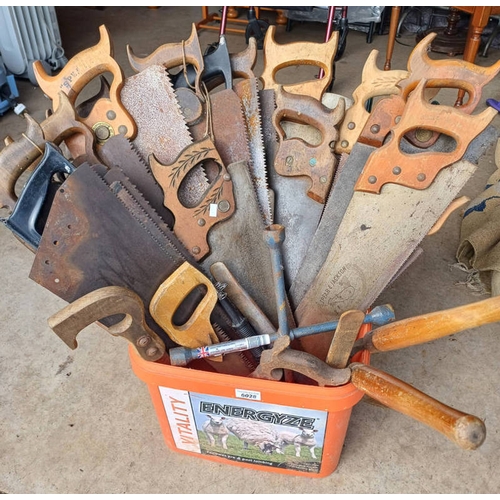 6028 - VERY GOOD SELECTION OF SAWS TO INCLUDE MAKERS SUCH AS SPEAR E JACKSON, DISSTON, ETC