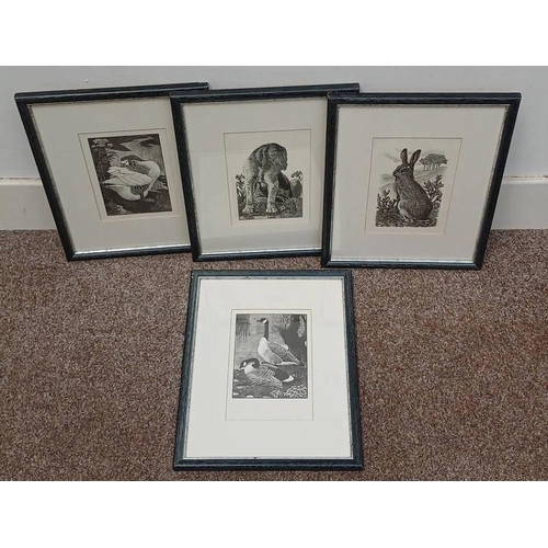 1049 - 4 PRINTS OF ANIMALS IN MATCHING FRAMES, 22CM X 14CM