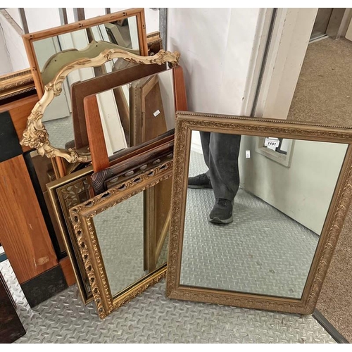 1101 - GOOD SELECTION OF VARIOUS STYLE MIRRORS