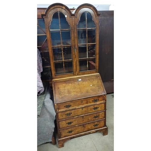 36 - 19TH CENTURY WALNUT BUREAU BOOKCASE WITH DOUBLE DOME TOP, 2 ASTRAGAL GLAZED DOORS OVER FALL FRONT & ... 