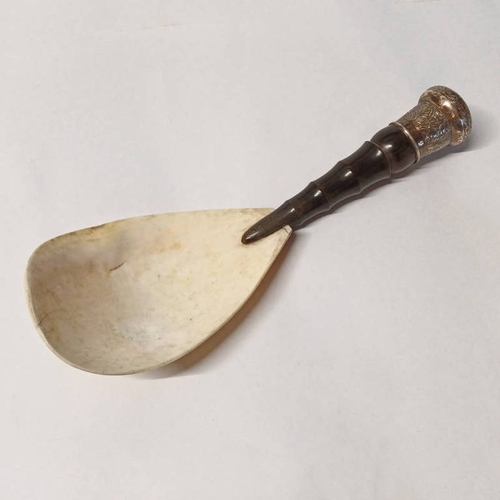 59 - 19TH CENTURY CHINESE WHITE METAL MOUNTED HORN HANDLED SHELL LADLE - 24.5 CM LONG