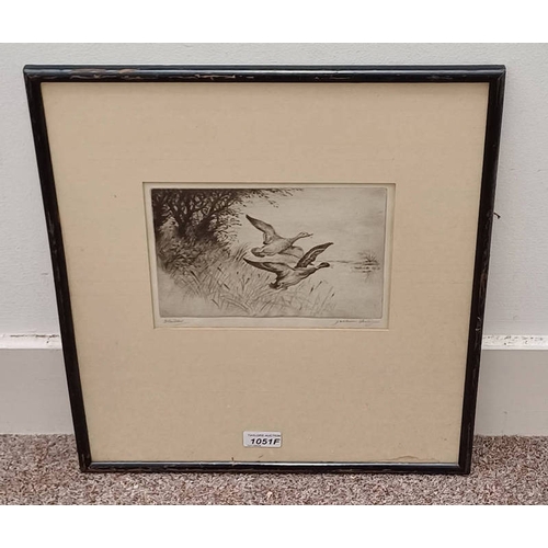 1051F - JACKSON SIMPSON 'STARTLED' SIGNED IN PENCIL FRAMED ETCHING 17 CM X 22 CM