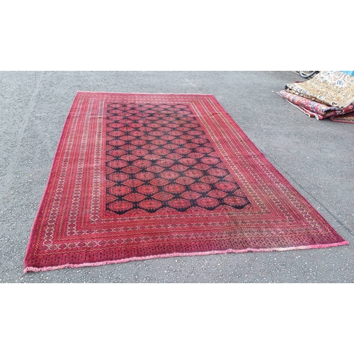 1368 - RED AND BLACK GROUND TURKMAN CARPET WITH ALL OVER DIAMOND BAKHAR DESIGN 390 X 253CM