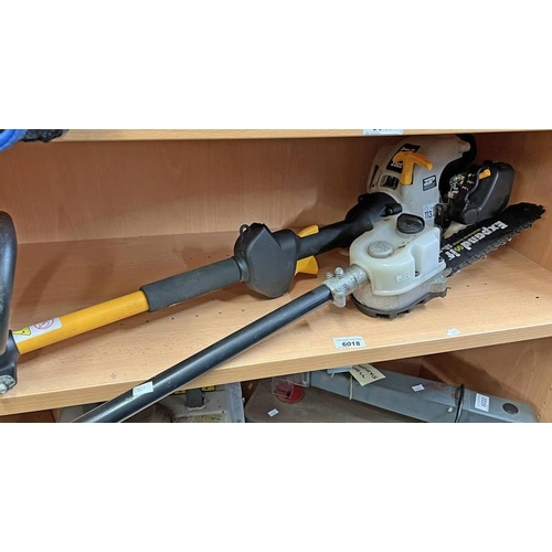 6018 - PLT 2543Y 25CC PETROL POLE SAW