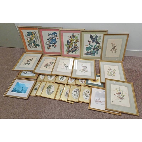 1288 - COLLECTION OF FRAMED PRINTS OF BIRDS INCLUDING AFTER JOHN MORLAND ARCHIBALD THORBURN SIGNED PRINT OF... 