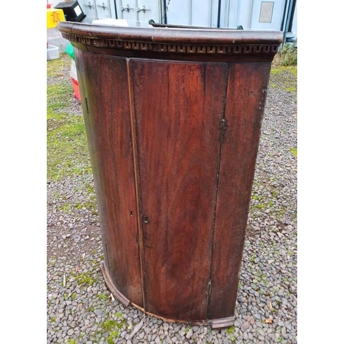 490 - 19TH CENTURY MAHOGANY CORNER CABINET WITH 2 PANEL DOORS OPENING TO SHELVED INTERIOR, 104CM TALL