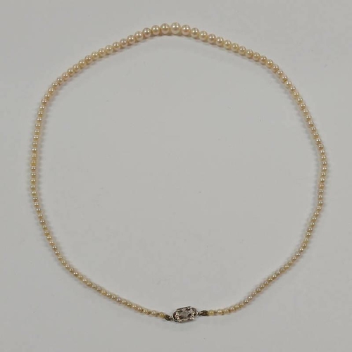 576 - SINGLE STRAND CULTURED PEARL NECKLACE, THE CLASP MARKED SIL.  LENGTH 42 CMS