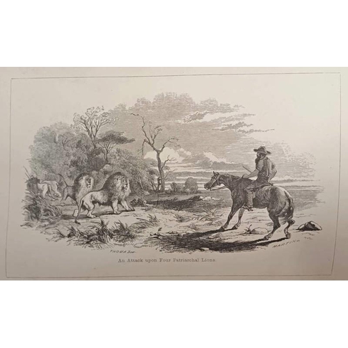 Lot 2043      