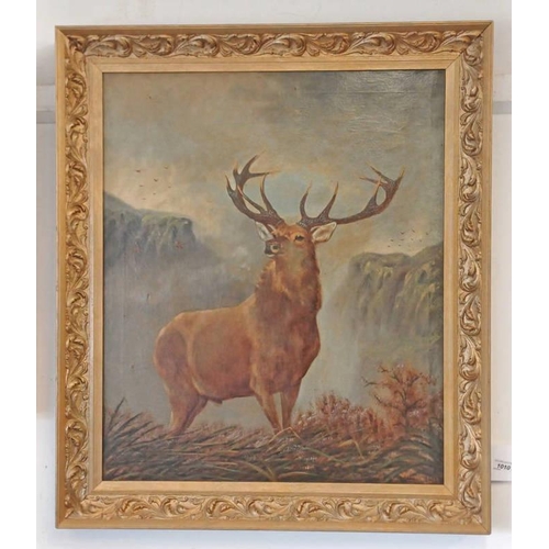 Lot 1010      