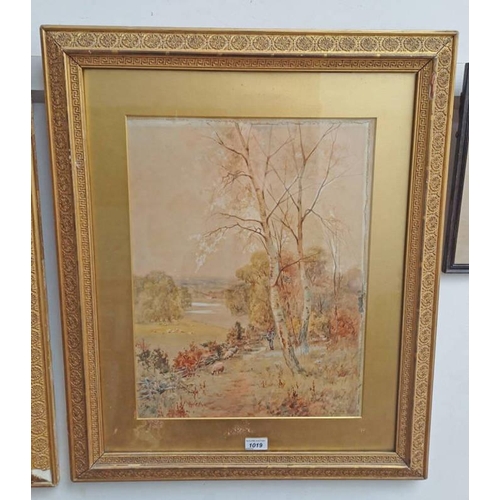 Lot 1019      