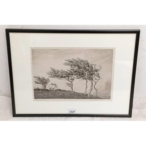 Lot 1027      