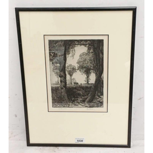 Lot 1030      