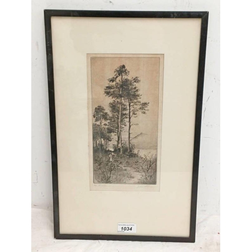 Lot 1034      