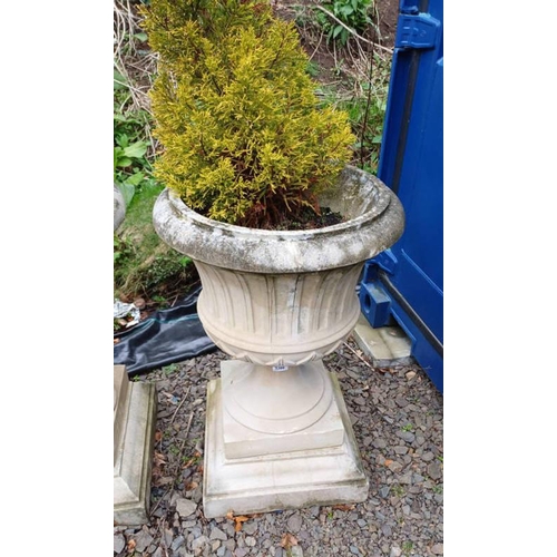 Lot 25        