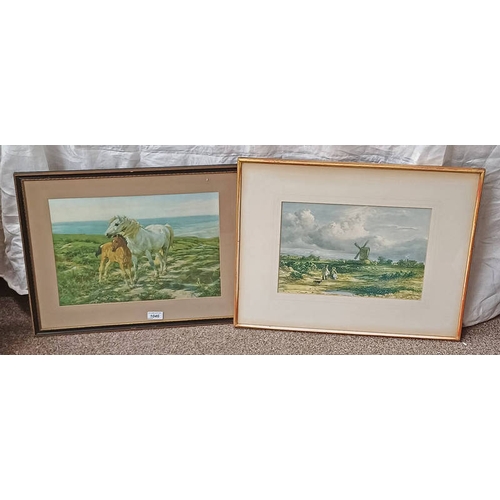 Lot 1046      