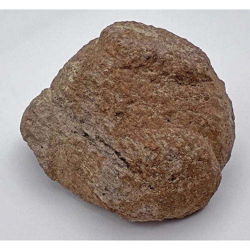 Lot 1003      