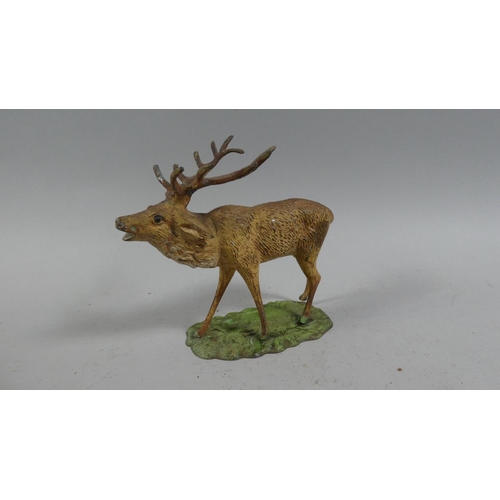 103 - An Early 20th Century Austrian Cold Painted Spelter Figure of a Stag. 15cms Long