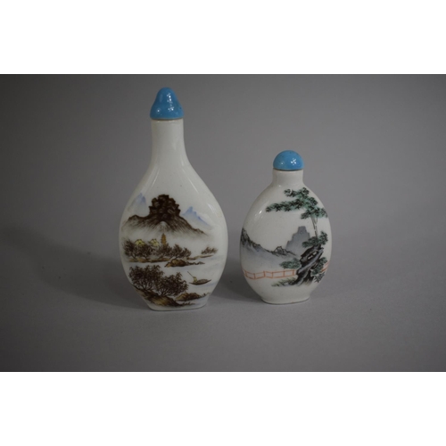 234 - A Chinese Snuff Bottle of Vase Form with Hand Painted Decoration Depicting Mountain and Lake Landsca... 