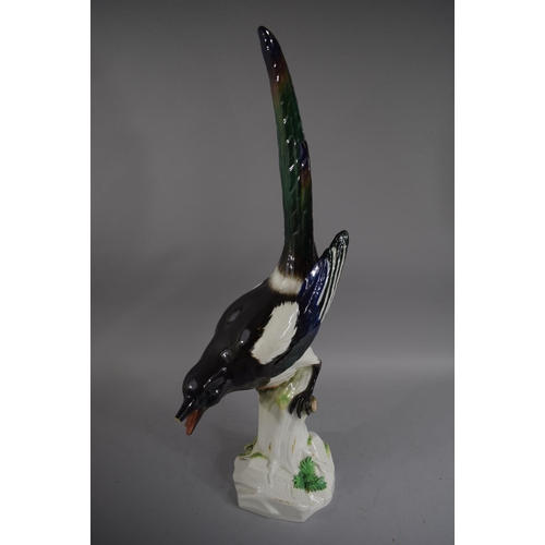 384 - A Large Meissen Porcelain Figure of a Magpie (Beak and Tongue AF) 54cms High