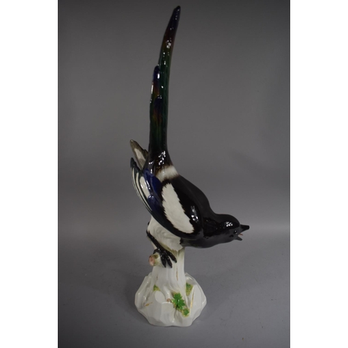 384 - A Large Meissen Porcelain Figure of a Magpie (Beak and Tongue AF) 54cms High