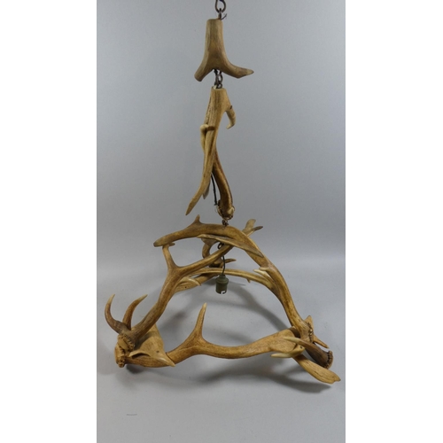 66 - An Early th Century Black Forest Antler Pendant Light Fitting. 46x58cms High