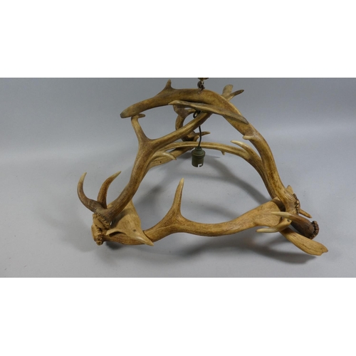 66 - An Early th Century Black Forest Antler Pendant Light Fitting. 46x58cms High