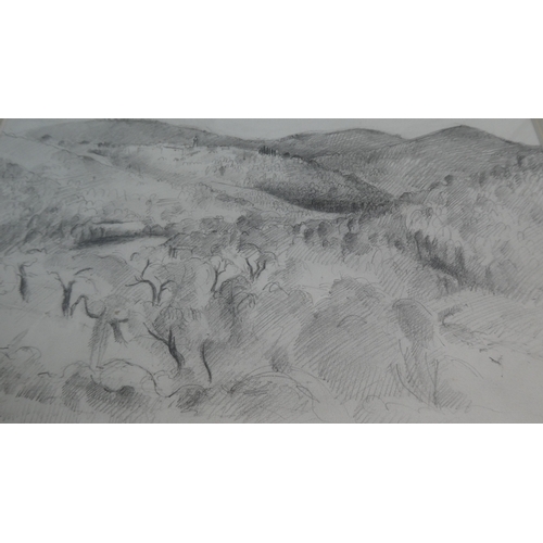 310 - Two Framed Pencil Sketches, The Gyrn/Priddburn Valley, 2009' and 'Olive Groves Towards Claviers' by ... 