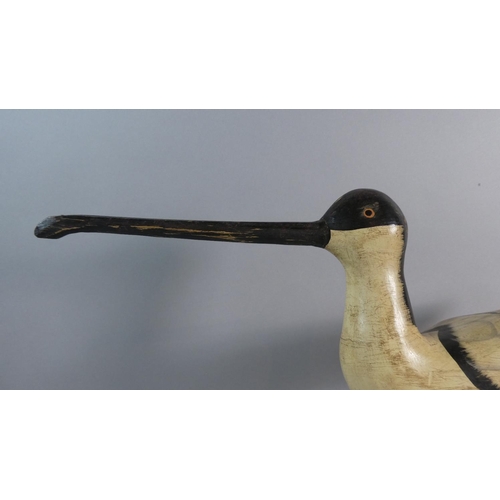 61 - A 20th Century Carved Wooden Display of a Long Billed Shorebird. 44cms Wide