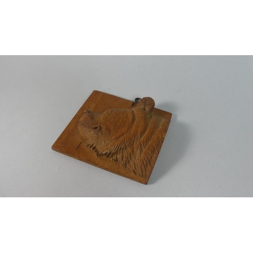 26 - A Carved Black Forest Wall Hanging Depicting Bear's Head, 12.5cm Wide