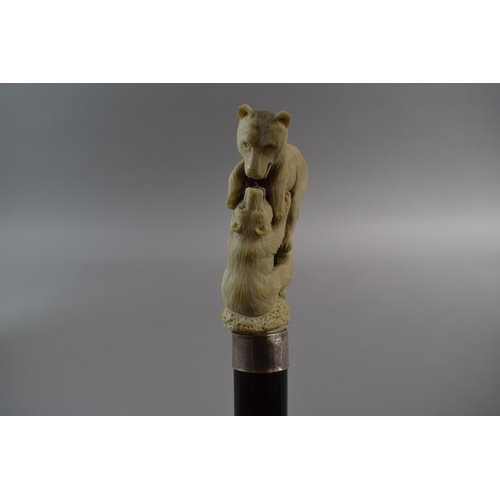 51 - A Gents Ebonised Thornwood Walking Cane with Carved Antler Finial Depicting Two Bears Fighting with ... 