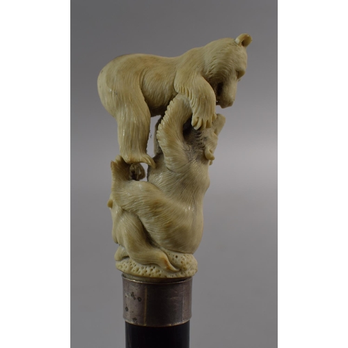 51 - A Gents Ebonised Thornwood Walking Cane with Carved Antler Finial Depicting Two Bears Fighting with ... 