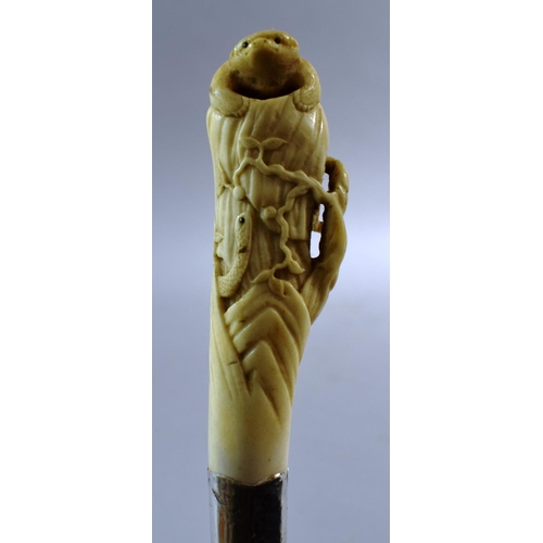 50 - A 19th Century Silver Mounted Bamboo Walking Cane with Carved Ivory Handle Depicting Snake and Sloth... 