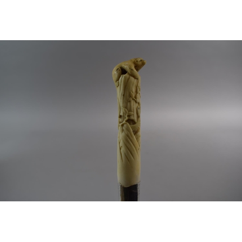 50 - A 19th Century Silver Mounted Bamboo Walking Cane with Carved Ivory Handle Depicting Snake and Sloth... 