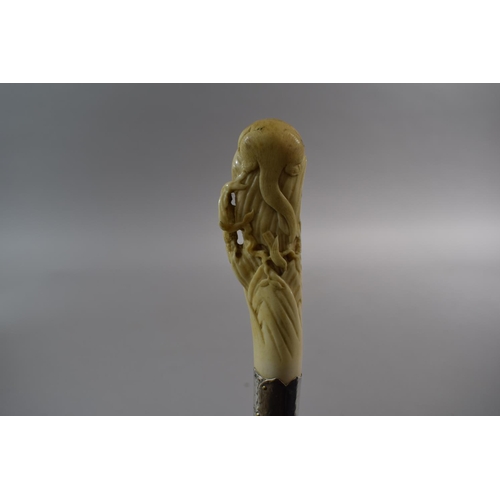 50 - A 19th Century Silver Mounted Bamboo Walking Cane with Carved Ivory Handle Depicting Snake and Sloth... 