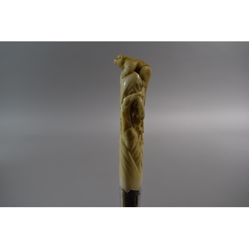 50 - A 19th Century Silver Mounted Bamboo Walking Cane with Carved Ivory Handle Depicting Snake and Sloth... 