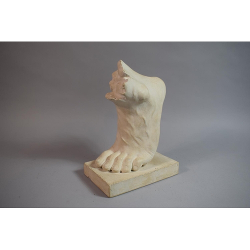 72 - An Early 20th Century Plaster Cast Artists Drawing Aid in he Form of a Classical Athlete's Foot. 11x... 