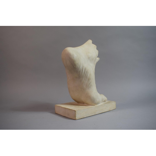 72 - An Early 20th Century Plaster Cast Artists Drawing Aid in he Form of a Classical Athlete's Foot. 11x... 