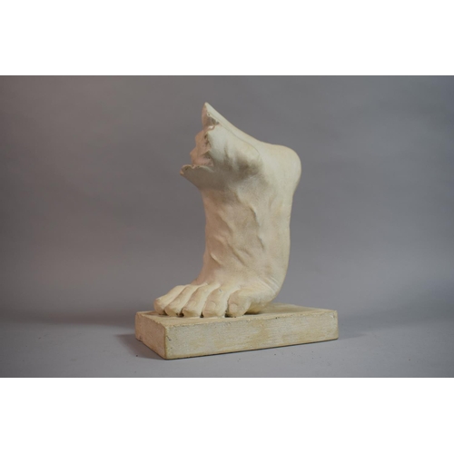 72 - An Early 20th Century Plaster Cast Artists Drawing Aid in he Form of a Classical Athlete's Foot. 11x... 