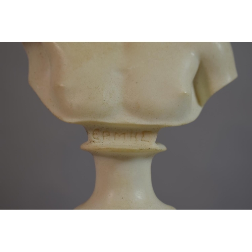 76 - A Pair of Grand Tour Type Classical Busts Supported on Carved Walnut Plinths. 38cms High